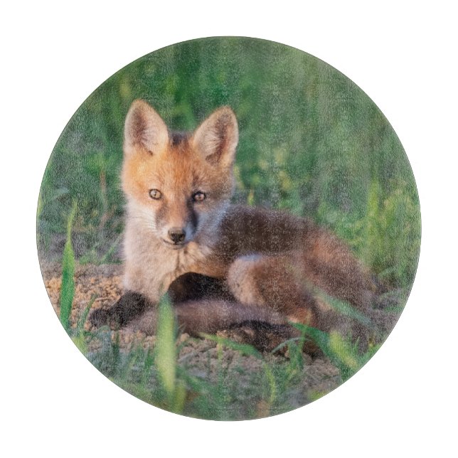 Cutest Baby Animals | Red Fox Kit Relaxing Cutting Board (Front)