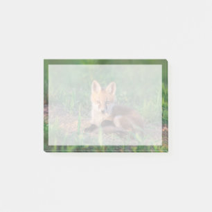 Cutest Baby Animals Red Fox Kit Relaxing Post-it Notes