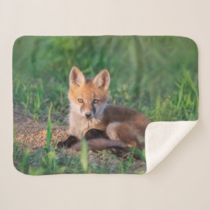 Cutest Baby Animals Red Fox Kit Relaxing Sherpa Blanket
