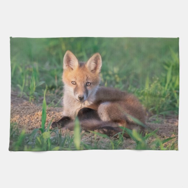 Cutest Baby Animals | Red Fox Kit Relaxing Tea Towel (Horizontal)