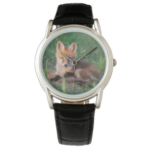 Cutest Baby Animals Red Fox Kit Relaxing Watch