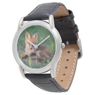 Cutest Baby Animals Red Fox Kit Relaxing Watch