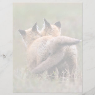 Cutest Baby Animals Red Fox Kits Locking Tails