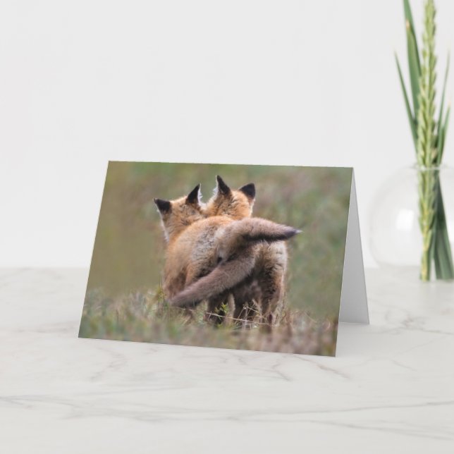 Cutest Baby Animals | Red Fox Kits Locking Tails Card (Front)