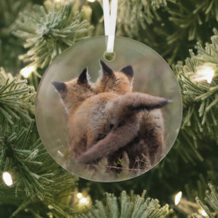 Cutest Baby Animals Red Fox Kits Locking Tails Glass Tree Decoration