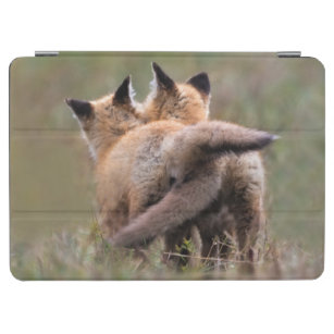 Cutest Baby Animals   Red Fox Kits Locking Tails iPad Air Cover
