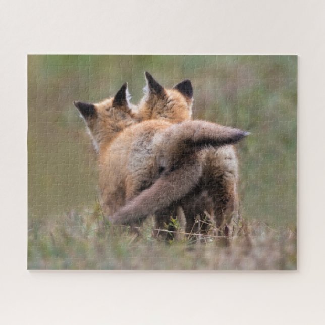 Cutest Baby Animals | Red Fox Kits Locking Tails Jigsaw Puzzle (Horizontal)