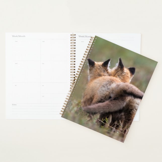 Cutest Baby Animals | Red Fox Kits Locking Tails Planner (Display)