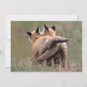 Cutest Baby Animals Red Fox Kits Locking Tails Thank You Card