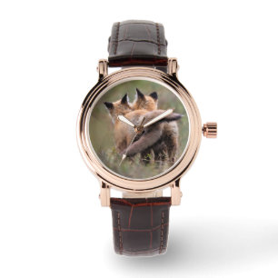 Cutest Baby Animals Red Fox Kits Locking Tails Watch