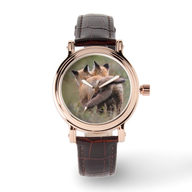 Cutest Baby Animals | Red Fox Kits Locking Tails Watch (Front)