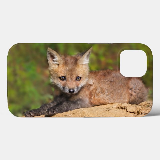 Cutest Baby Animals | Red Fox Pup Case-Mate iPhone Case (Back (Horizontal))