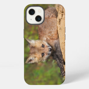 Cutest Baby Animals Red Fox Pup iPhone 13 Case