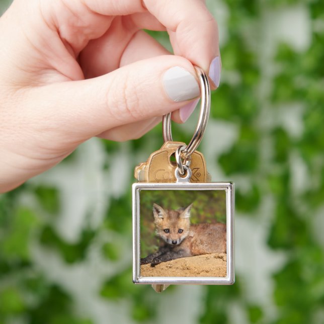 Cutest Baby Animals | Red Fox Pup Key Ring (Hand)
