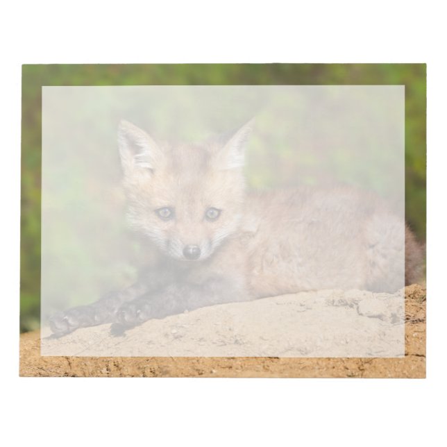Cutest Baby Animals | Red Fox Pup Notepad (Front)