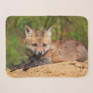 Cutest Baby Animals Red Fox Pup Sherpa Blanket