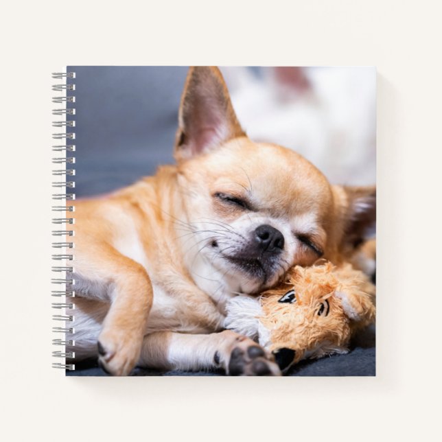 Cutest Baby Animals | Red-haired Chihuahua Dog Notebook (Front)