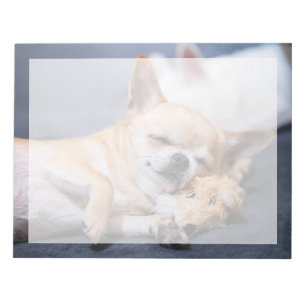 Cutest Baby Animals Red-haired Chihuahua Dog Notepad