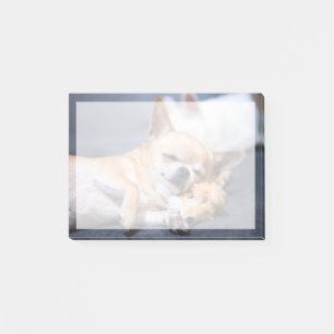 Cutest Baby Animals Red-haired Chihuahua Dog Post-it Notes