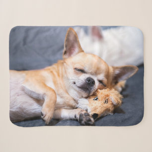 Cutest Baby Animals Red-haired Chihuahua Dog Sherpa Blanket