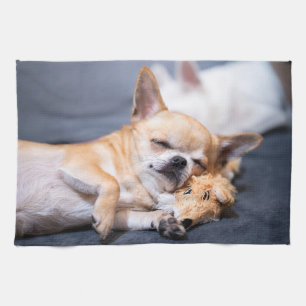 Cutest Baby Animals   Red-haired Chihuahua Dog Tea Towel