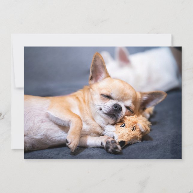 Cutest Baby Animals | Red-haired Chihuahua Dog Thank You Card (Front)