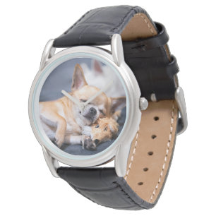 Cutest Baby Animals Red-haired Chihuahua Dog Watch