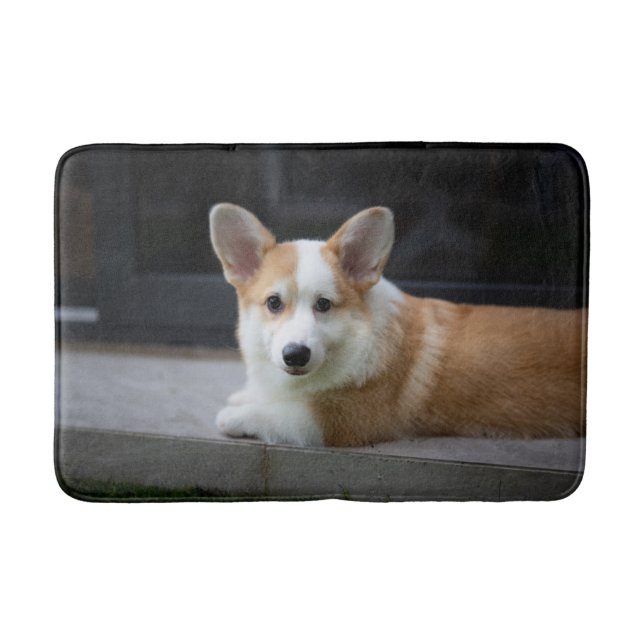 Cutest Baby Animals | Relaxing Corgi Puppy Bath Mat (Front)
