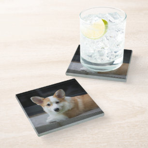 Cutest Baby Animals Relaxing Corgi Puppy Glass Coaster