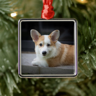 Cutest Baby Animals Relaxing Corgi Puppy Metal Tree Decoration