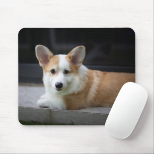Cutest Baby Animals   Relaxing Corgi Puppy Mouse Pad