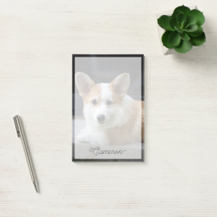Cutest Baby Animals Relaxing Corgi Puppy Post-it Notes