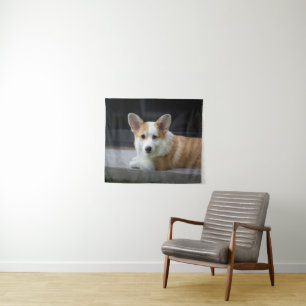 Cutest Baby Animals   Relaxing Corgi Puppy Tapestry
