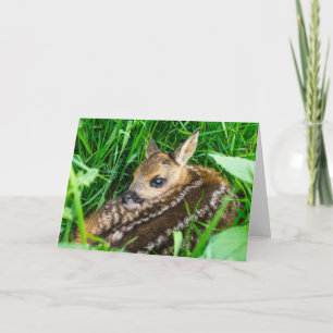 Cutest Baby Animals Roe Deer Baby Card