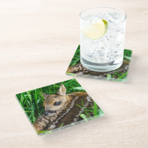 Cutest Baby Animals Roe Deer Baby Glass Coaster