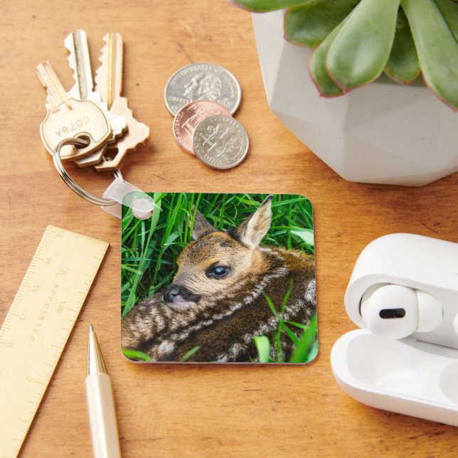 Cutest Baby Animals | Roe Deer Baby Key Ring (Desk)