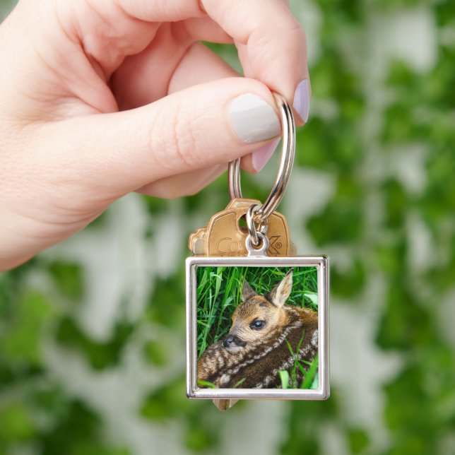 Cutest Baby Animals | Roe Deer Baby Key Ring (Hand)