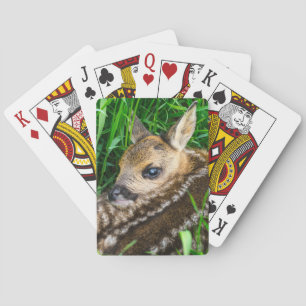 Cutest Baby Animals Roe Deer Baby Playing Cards