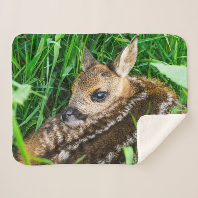 Cutest Baby Animals | Roe Deer Baby Sherpa Blanket (Front (Horizontal))