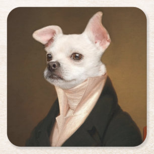 Cutest Baby Animals   Royal Chihuahua Portrait Square Paper Coaster