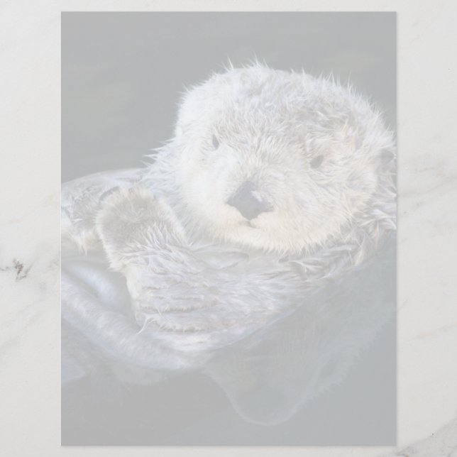 Cutest Baby Animals | Sea Otter Floating (Front)
