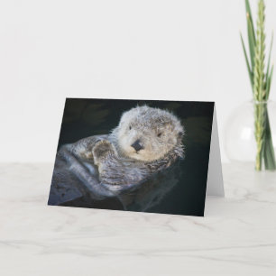 Cutest Baby Animals Sea Otter Floating Card