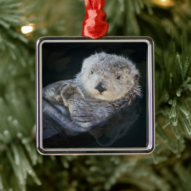 Cutest Baby Animals | Sea Otter Floating Metal Tree Decoration (Tree)