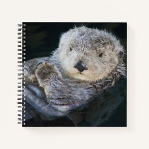 Cutest Baby Animals   Sea Otter Floating Notebook