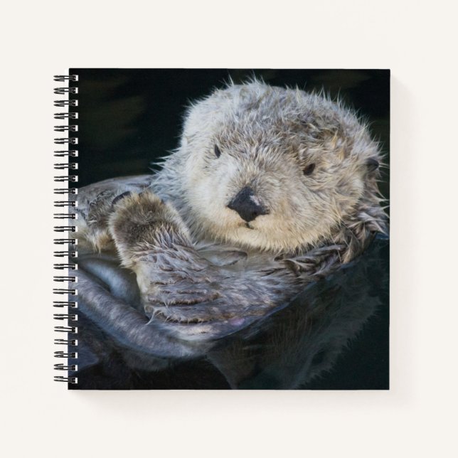 Cutest Baby Animals | Sea Otter Floating Notebook (Front)