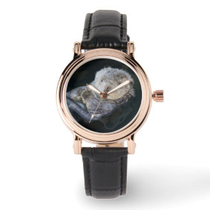 Cutest Baby Animals   Sea Otter Floating Watch