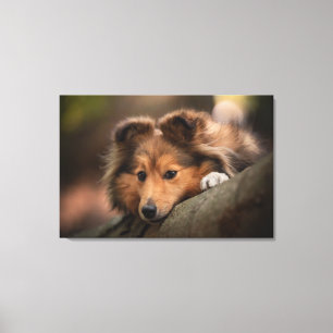 Cutest Baby Animals Shetland Sheepdog Puppy Canvas Print