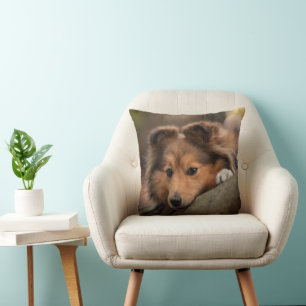 Cutest Baby Animals   Shetland Sheepdog Puppy Cushion