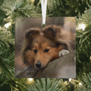 Cutest Baby Animals Shetland Sheepdog Puppy Glass Tree Decoration
