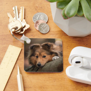 Cutest Baby Animals Shetland Sheepdog Puppy Key Ring